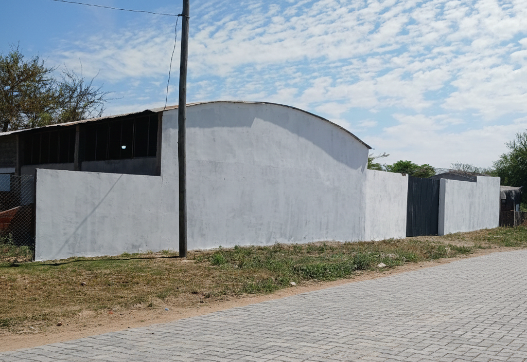 Adoquinado de calles y veredas